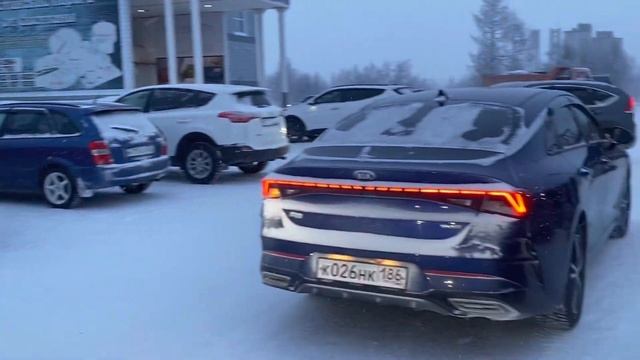 Такое есть только у нас Цены на мясо птицу. Бежим за покупками