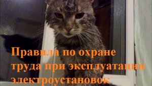 16. 1. Охрана труда при выполнении технических мероприятий, обеспечивающих безопасность работ