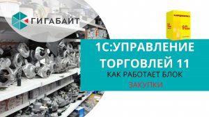 1С Управление Торговлей Как работает раздел Закупки в 1С УТ 11