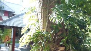 Natural Park Resort & SPA