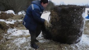 Как сохранились рулоны сена под сеткой в поле? Сколько отходов от сена?