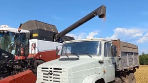 Фрагмент выгрузки комбайна АКРОС 585