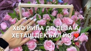 Дала декъал йойла?