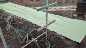 Укрытие винограда дорнитом (геотекстилем). 20.11.2023