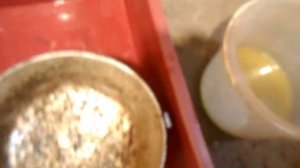 Профилактика болезней червей Дендробена. Часть 2