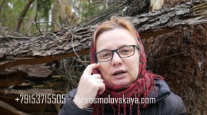 ЗАГОВОР НА РОСТ ВОЛОС. КАК СПАСТИ ВОЛОСЫ ОТ ВЫПАДЕНИЯ.(ПОМОЩЬ КОЛДУНЬИ В ЛЮБОВНЫХ ДЕЛАХ 89153715505