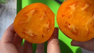 МИНУСИНСКИЕ СТАКАНЫ РОЗОВЫЕ И ОРАНЖЕВЫЕ // ОБЗОР с дегустацией // ВЫСЫЛАЮ СЕМЕНА