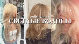 ❀ ?????? ????!¡࣪ ˖ светлые волосы ꒰саблиминал꒱