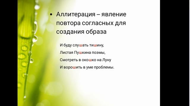 Звуковая организация стихотворной речи смотреть онлайн