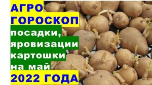 Агрогороскоп посадки и яровизации картошки в мае 2022 года