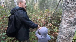 Варим Чудо Элексир Жизни / Идем за Калиной и Грибами в Аляске