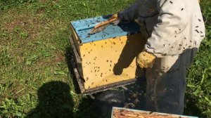 Пасека Лаврова. Снимаем корпуса для отбора меда.
