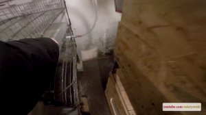 КЛЕТКА ДЛЯ КУР НЕСУШЕК, БРОЙЛЕРОВ СВОИМИ РУКАМИ - ZOLOTYERUKI