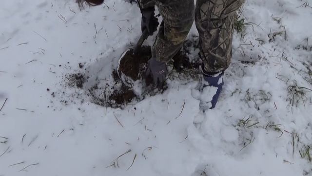 Покопали  Замело смотреть онлайн