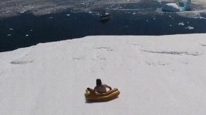 Развлечения на айсберге