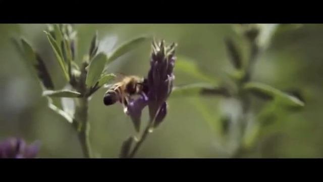 Производство витаминов