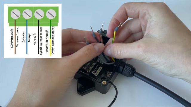 Приемник RXu - инструкция по настройке и подключению смотреть онлайн