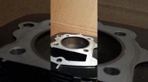 Раковины в цилиндре.