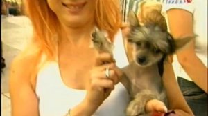 Нашествие 2005. Танцы минус