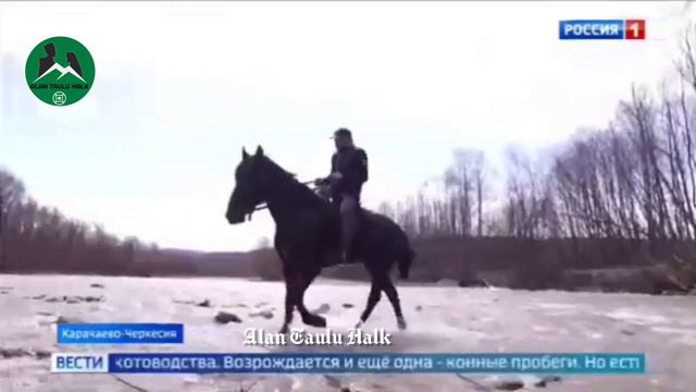 Карачае проходит конный пробег на Карачаевских породах лошадей