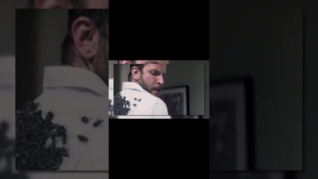 Вот, На Что Способен Самый ОПАСНЫЙ ШЕРШЕНЬ в Мире #shorts смотреть онлайн