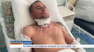 Смотрите сегодня в 19.00 в программе "Кстати": Хозяйка натравила своего алабая на соседей