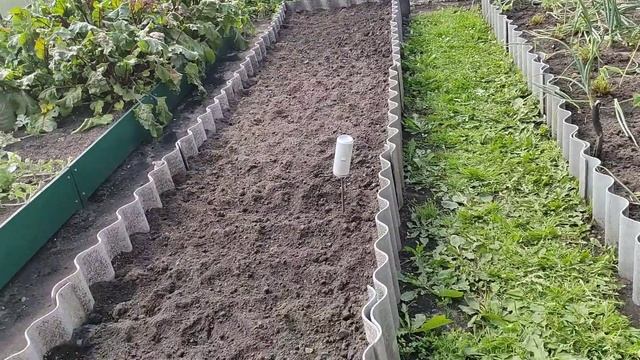 4.08.22. Опять жарища. Маленький обзор теплицы. смотреть онлайн