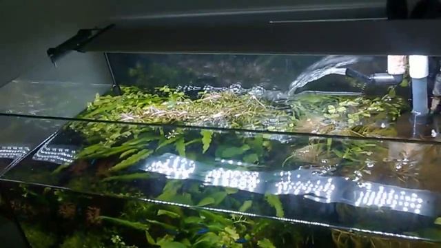 подмена воды в аквариуме смотреть онлайн