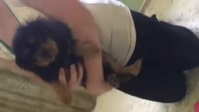 Моя собока когда ему было 1н месяц смотреть онлайн