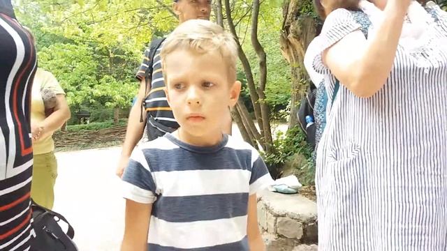 Поляна сказок 2.08.2019 смотреть онлайн