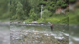 Эй марамойки, путь начался