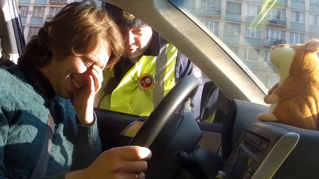 Прикольная игрушка Хомяк повторюшка смотреть онлайн