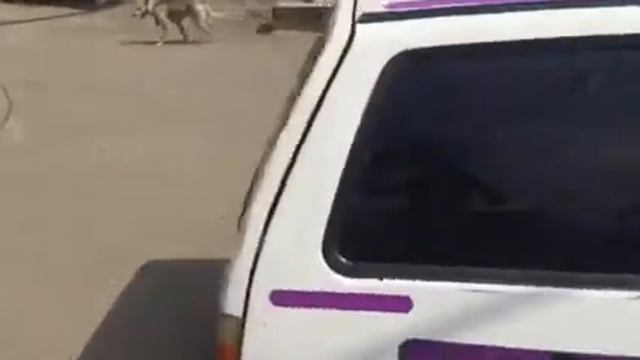 213 й автомобиль криптовалюты PRIZM в Челябинске Белая ОКА У035НР74 смотреть онлайн