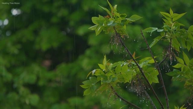 10시간 수면음악 + 빗소리 ? 수면유도음악, 스트레스해소음악, 불면증음악, 편안한음악 смотреть онлайн