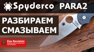 Разбираем, смазываем Spyderco paramilitary 2