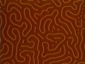 Прозрачные магниты, 1979