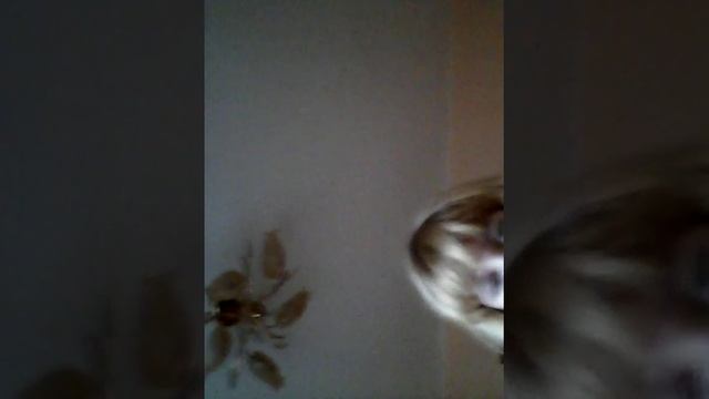 Моё любимое фортепиано смотреть онлайн