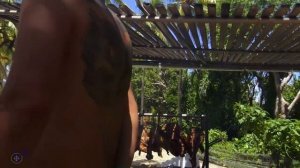 Varadero Cuba Sol Palmeras -The Hotel, The Pool, The Beach and the Restos