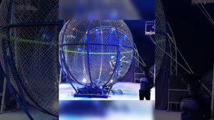 Интернациональный экстримальный цирк шапито Демидовых