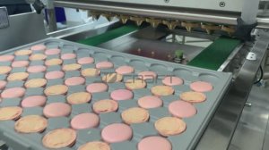 RoboForm (макарони ганаш)