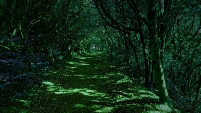 Духовный образ жизни смотреть онлайн