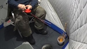 Увильды, увлекательная рыбалка на рипуса 16/01/2019