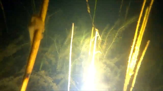 Самый прозрачный пруд в Великом Новгороде.