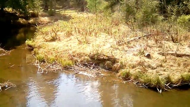 Отжимания в стойке - 7раз. смотреть онлайн