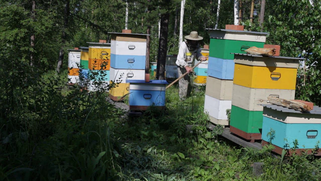 косим траву смотреть онлайн