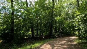 Увидев, что богач бросил на свалке дорогой авто, бродяжка залезла в салон, а когда открыла багажник