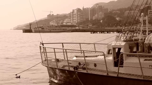 Тест видеорежима Fujifilm X-T2. Сепия смотреть онлайн