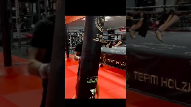 Nieky Holzken - heavybag training