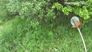 Триммер штиль fs 55 в паре с диском. Вырезаем подлесок и деревца.