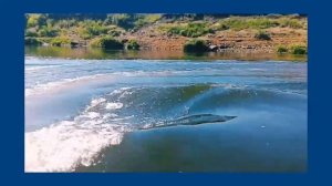 Мотор Хайди 9.8 и лодка Риф 335нднд.